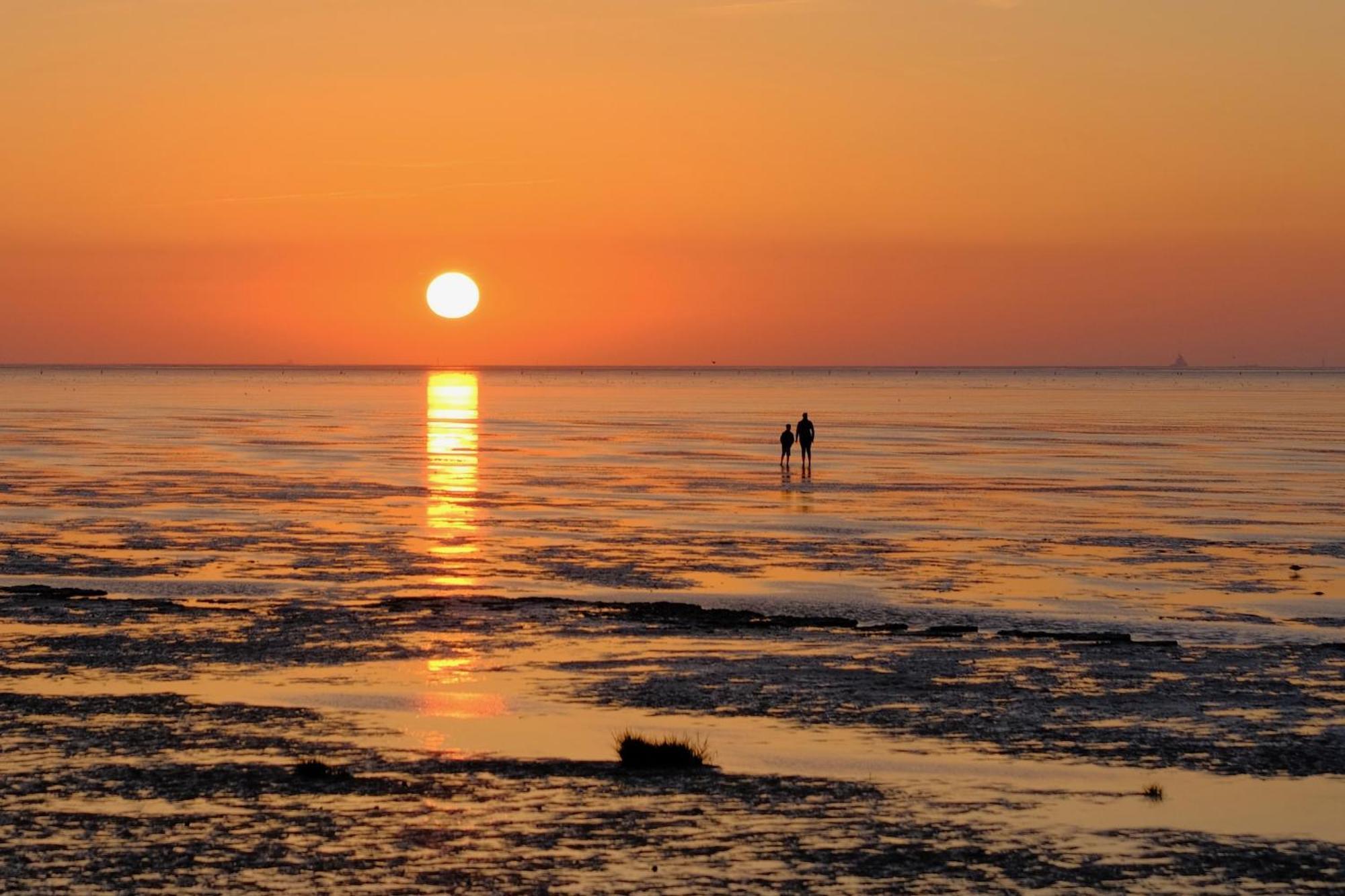 Ferienwohnung 348 Haus Deichgraf Cuxhaven Exteriör bild